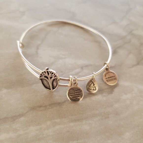 Alex and Ani Jewelry - 💖 Alex and Ani Silver Unexpected Miracles Expandable Bracelet 💖